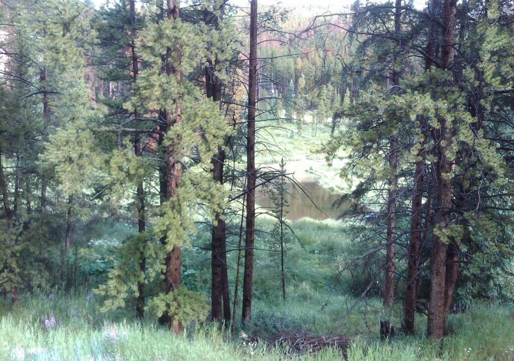 Photo of Others in Breckenridge