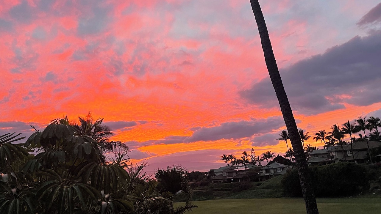 Photo of Others in Wailea