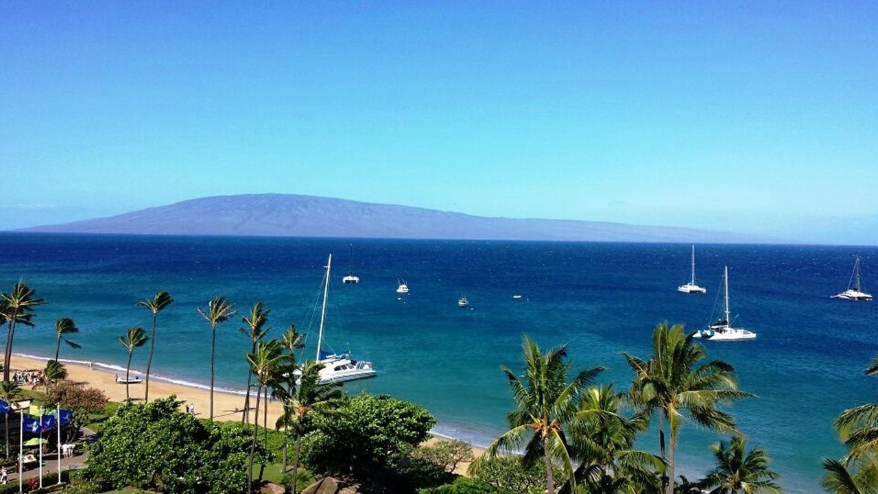 Photo of Others in Kaanapali