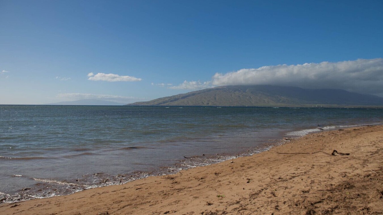 Photo of Others in Kihei