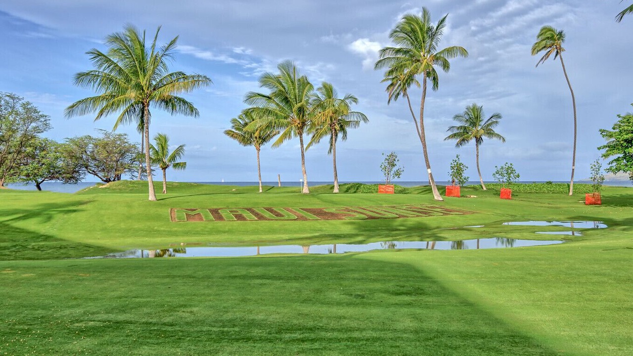 Photo of Others in Kihei