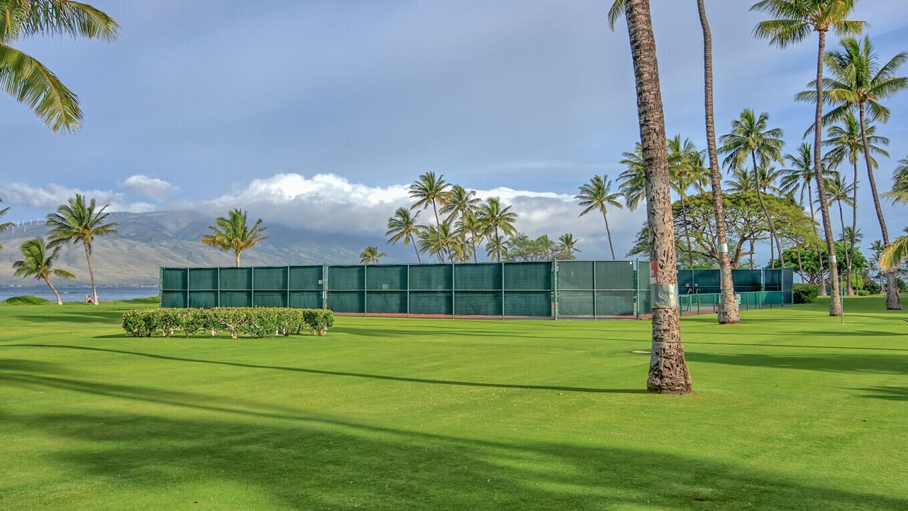Photo of Outdoor in Kihei