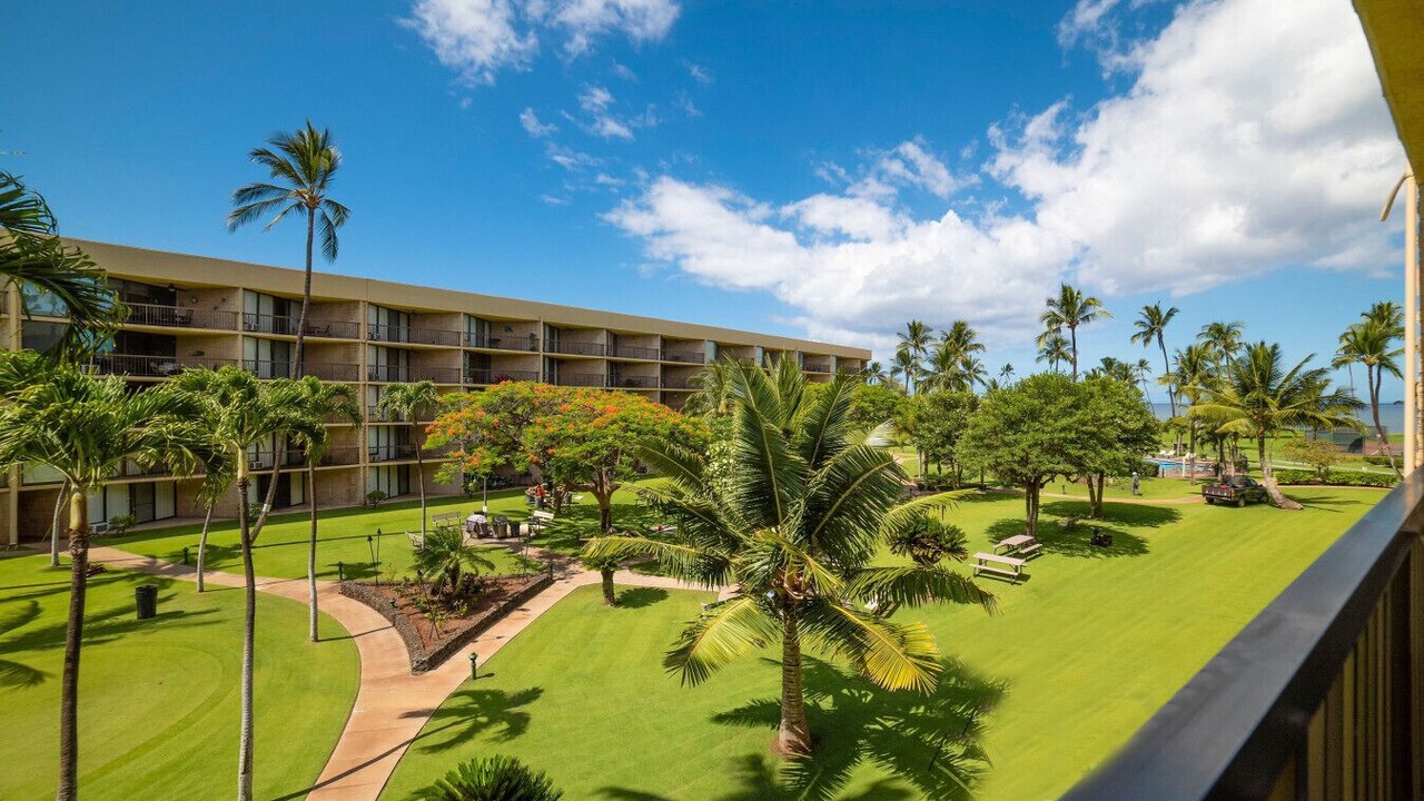 Photo of Outdoor in Kihei