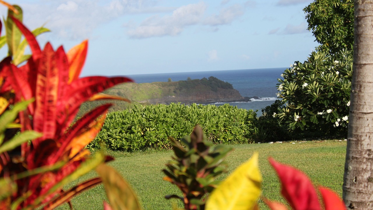 Photo of Bedroom in Kilauea