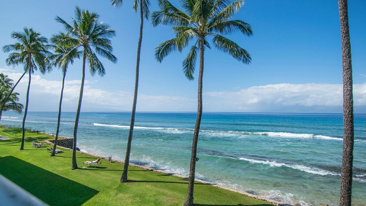 Photo of Others in Honokowai