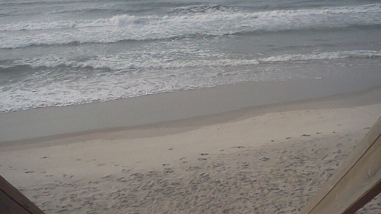 Photo of Others in Surf City