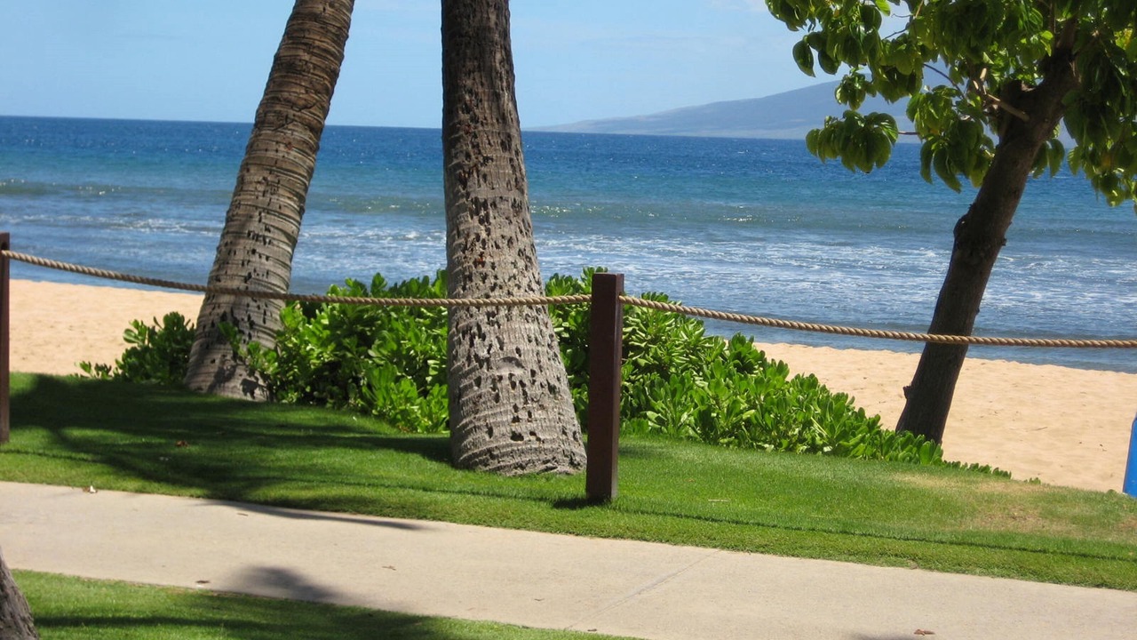 Photo of Others in Kaanapali