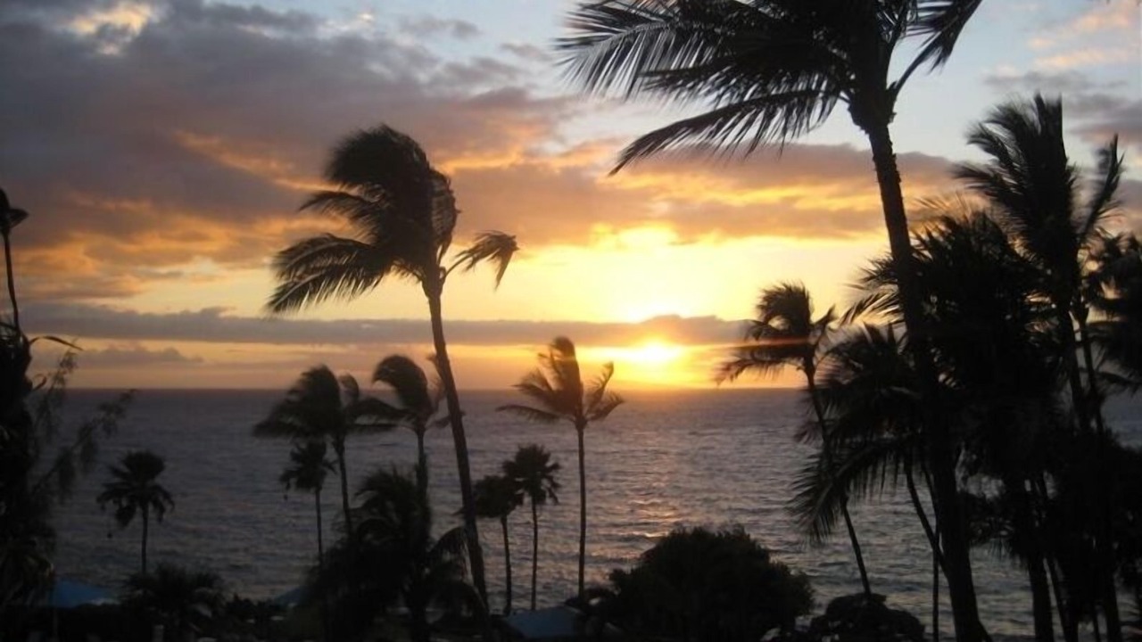 Photo of Others in Wailea