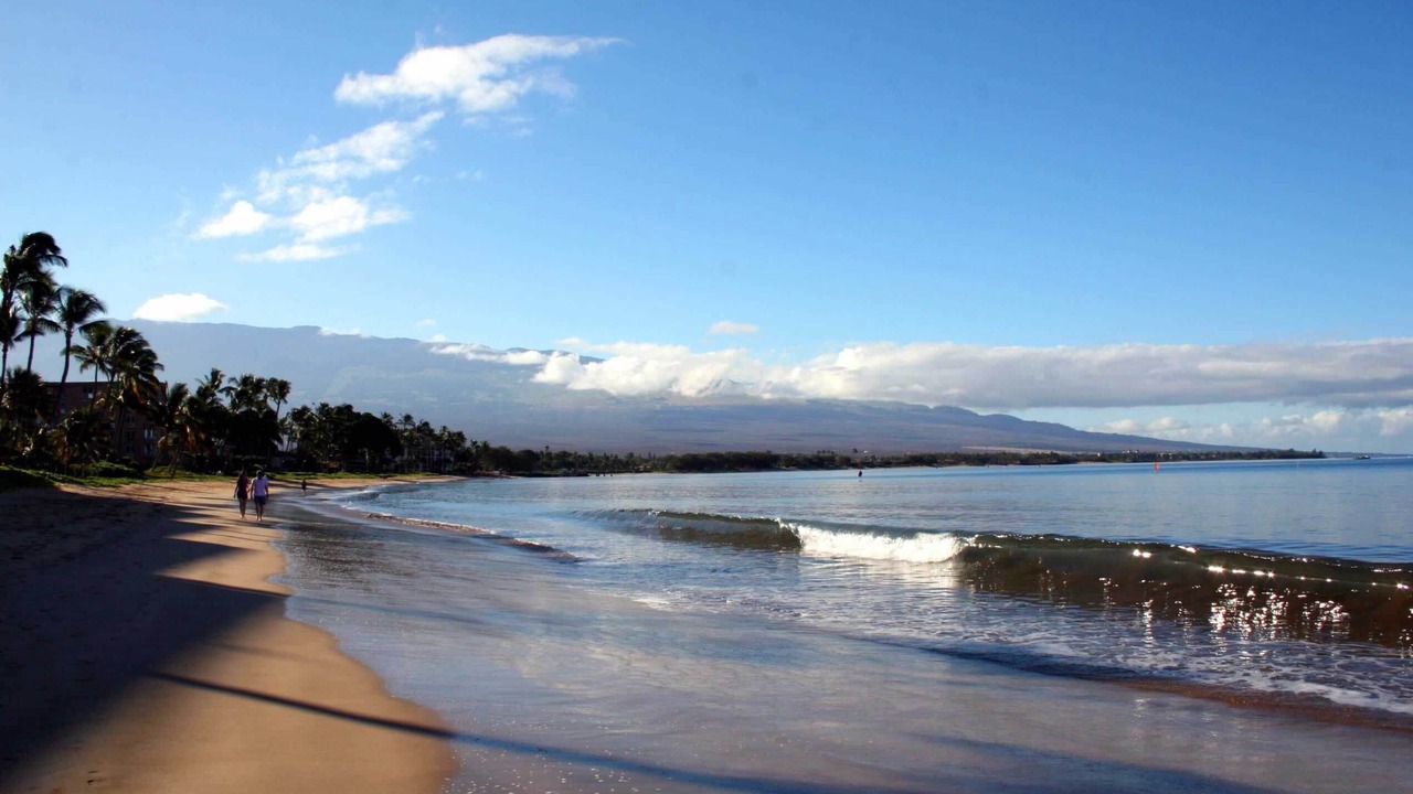 Photo of Others in Kihei