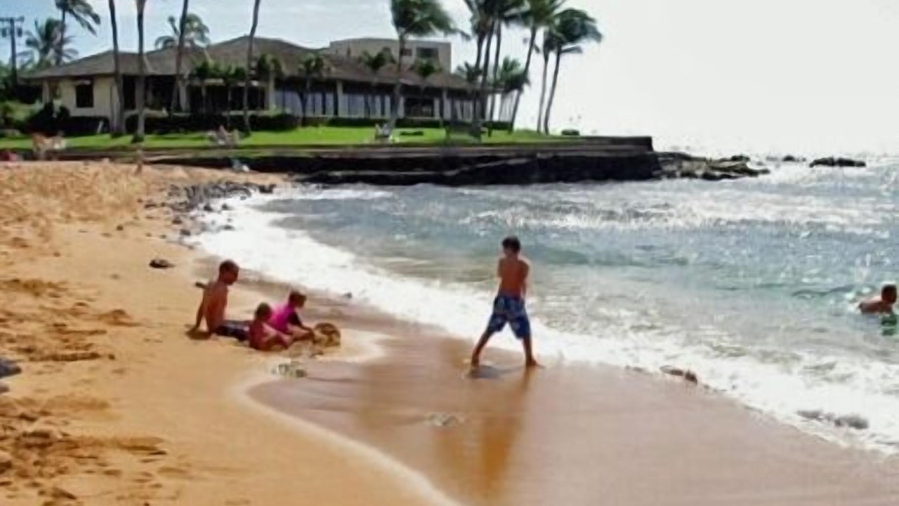 Photo of Others in Poipu