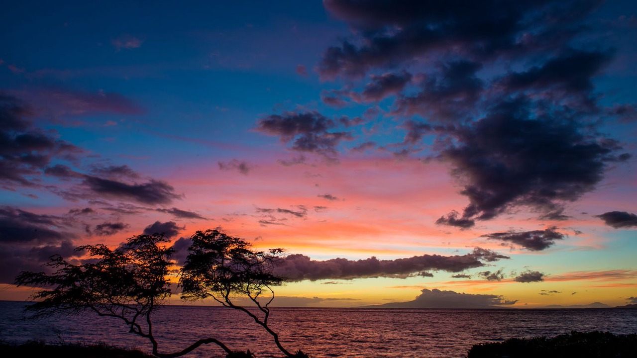 Photo of Others in Kihei