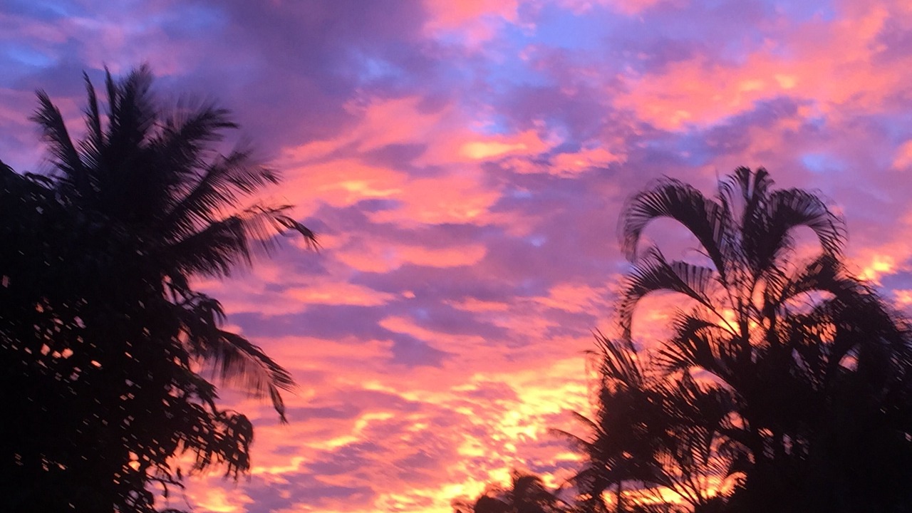Photo of Others in Kihei
