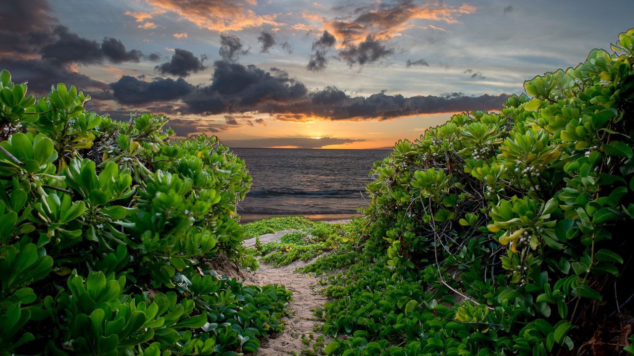 Photo of Others in Kihei