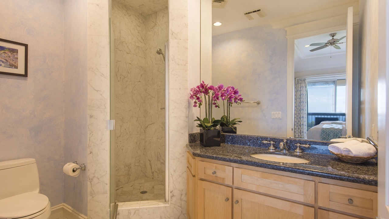 Photo of Bathroom in Kapalua