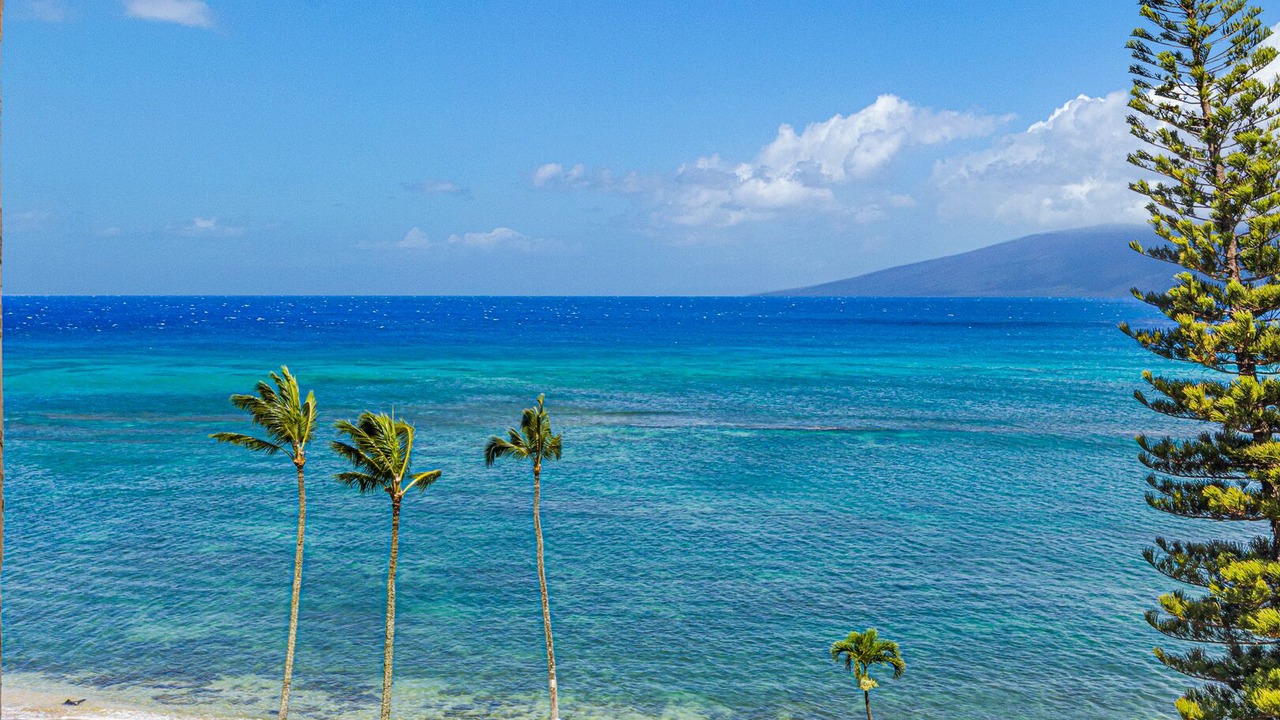 Photo of Outdoor in Kahana