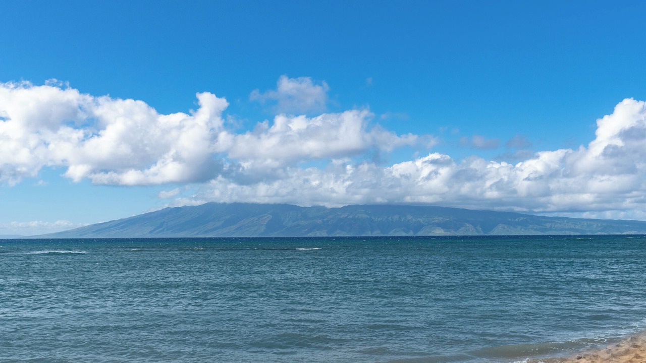 Photo of Others in Kahana