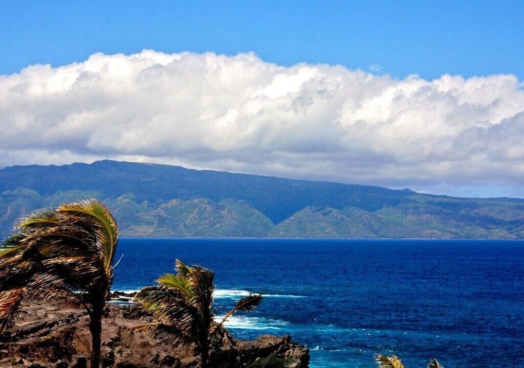 Photo of Others in Kapalua