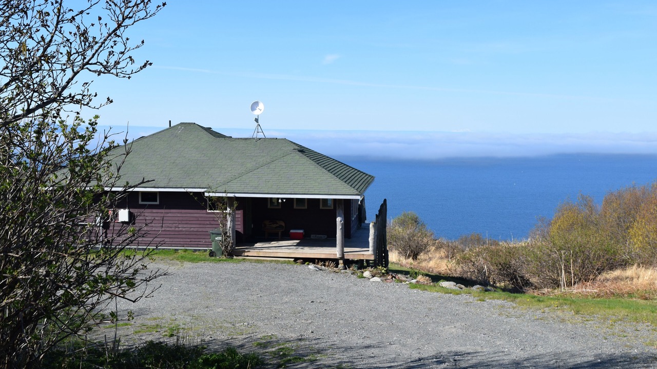 Photo of Others in Diamond Ridge