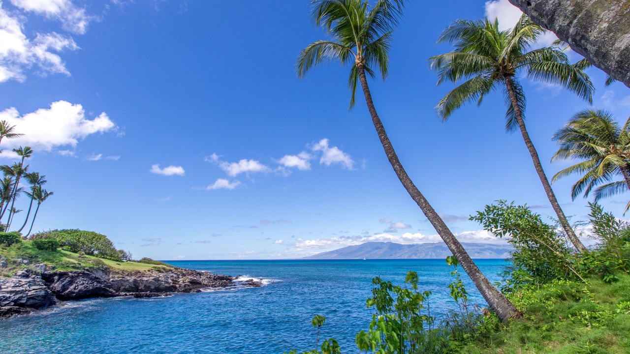 Photo of Others in Napili