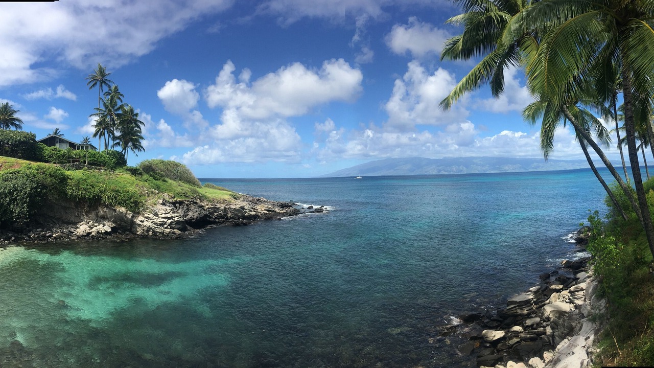 Photo of Others in Napili