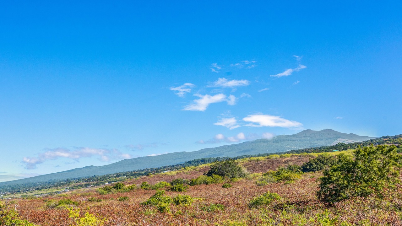 Photo of Others in Kahaluu-Keauhou