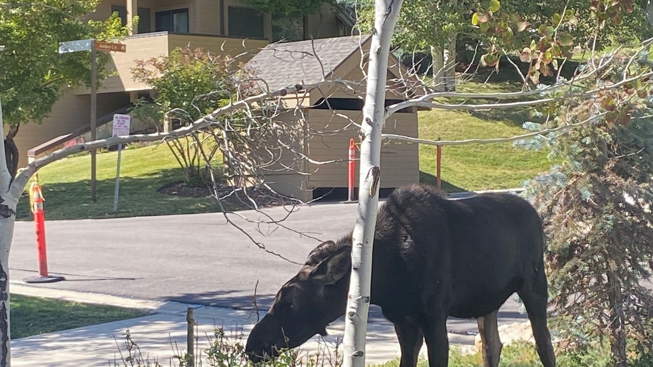 Photo of Outdoor in Deer Valley