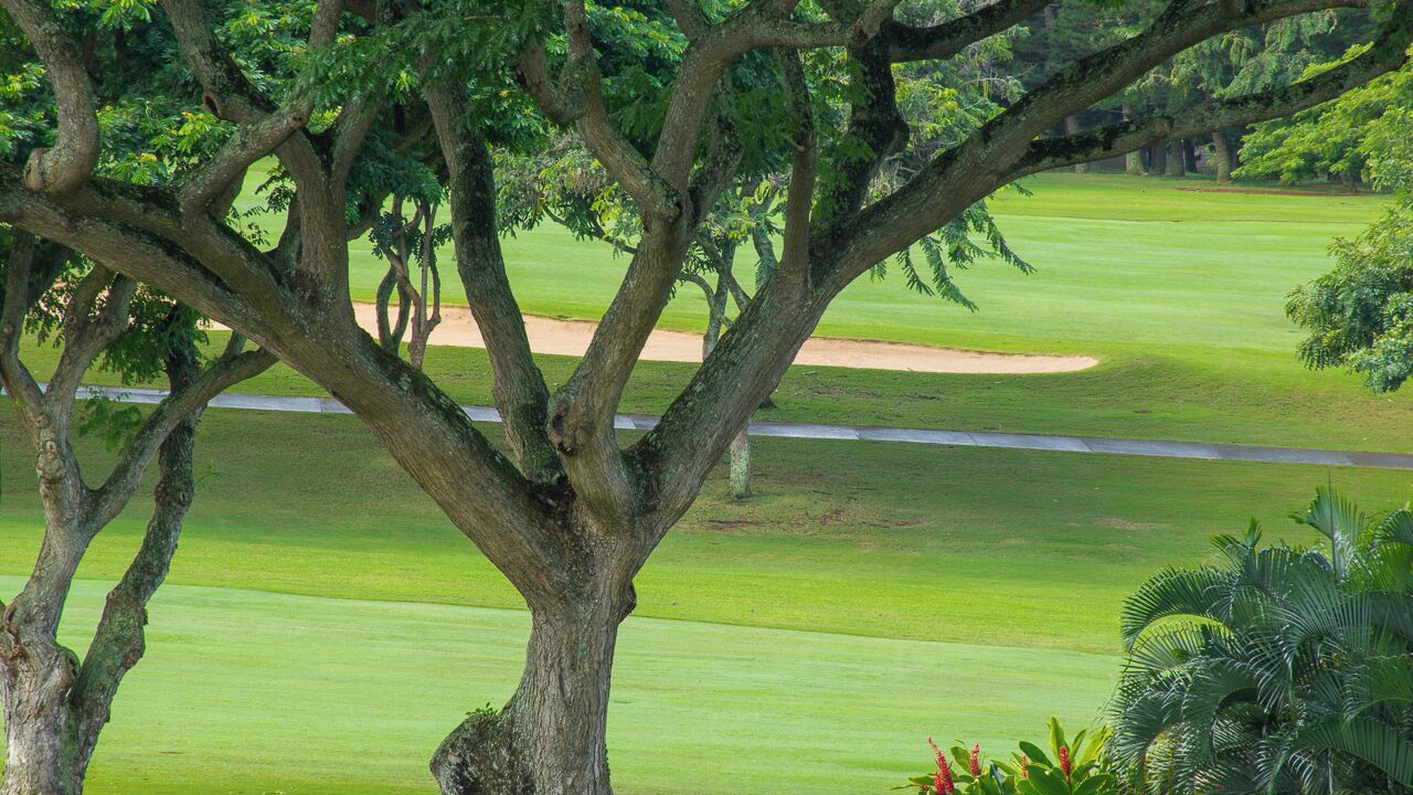 Photo of Others in Kapalua