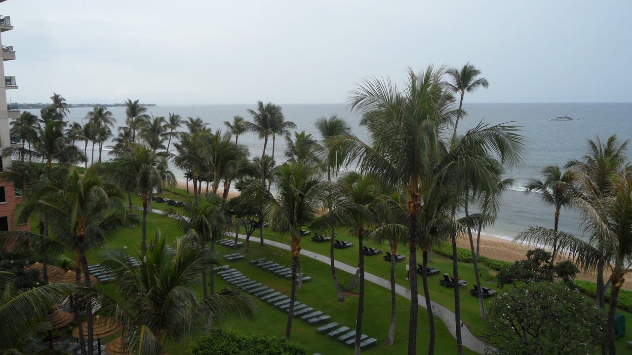 Photo of Outdoor in Kaanapali