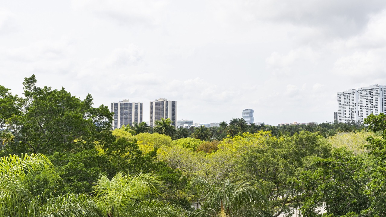 Photo of Outdoor in Aventura