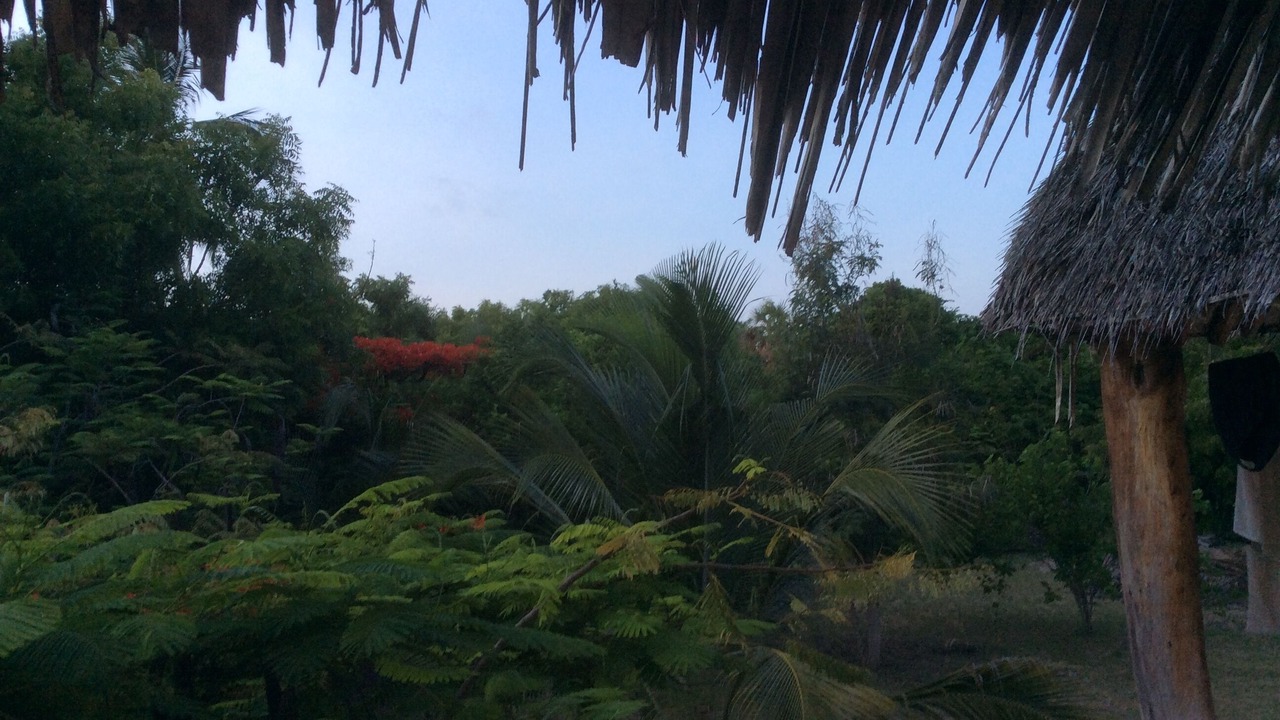 Photo of Outdoor in Pangani