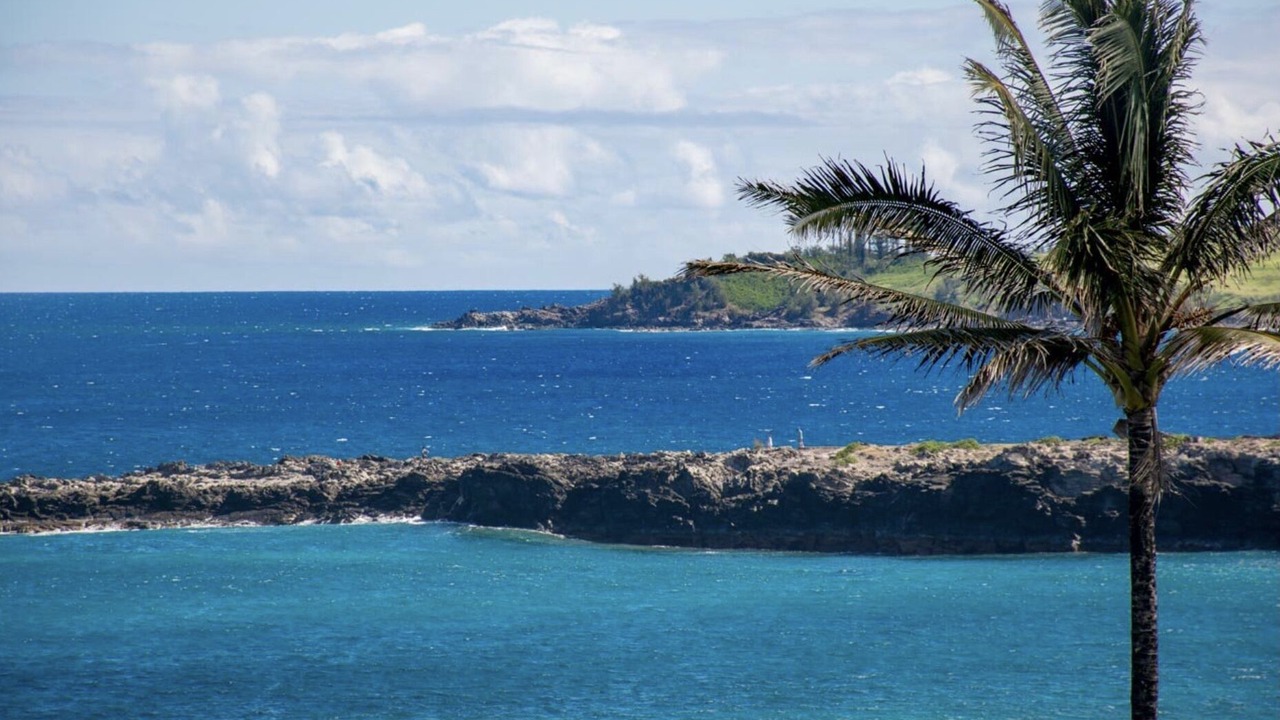 Photo of Others in Napili