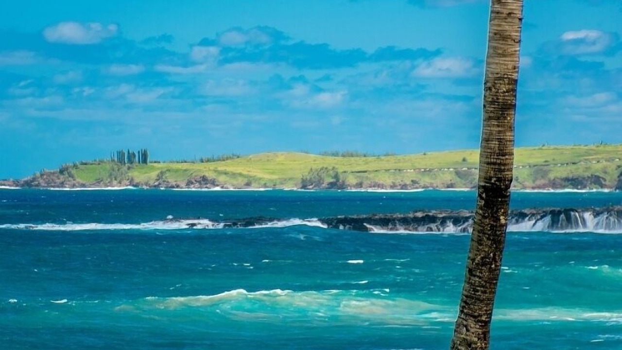 Photo of Bedroom in Napili