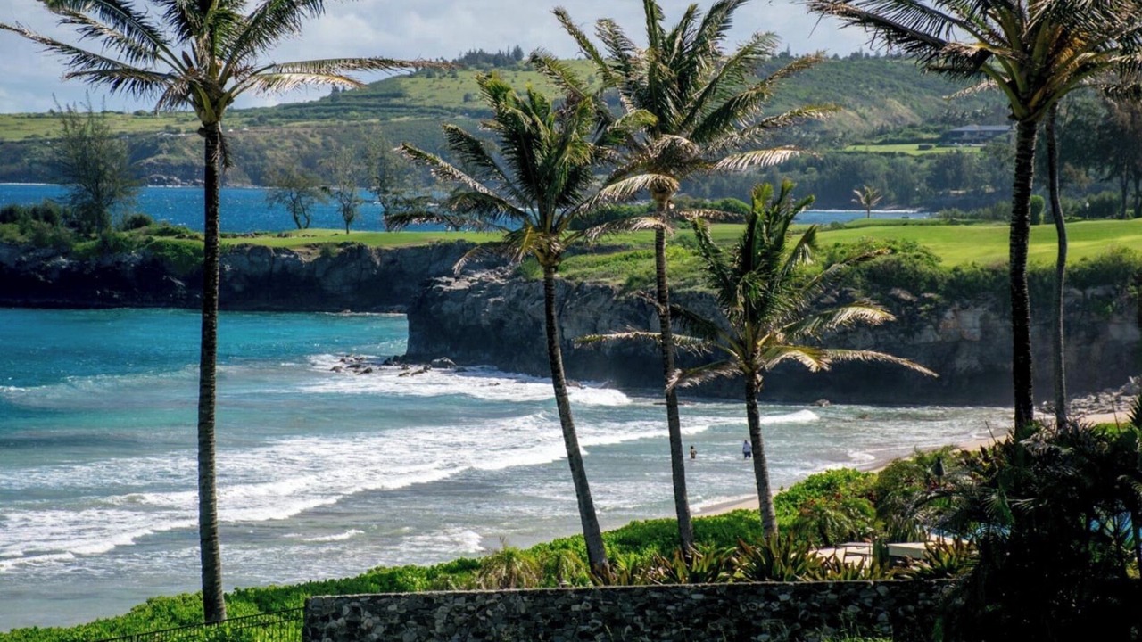 Photo of Others in Napili