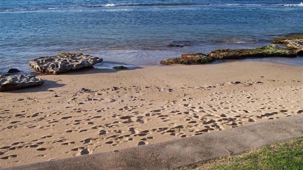 Photo of Others in Honokowai