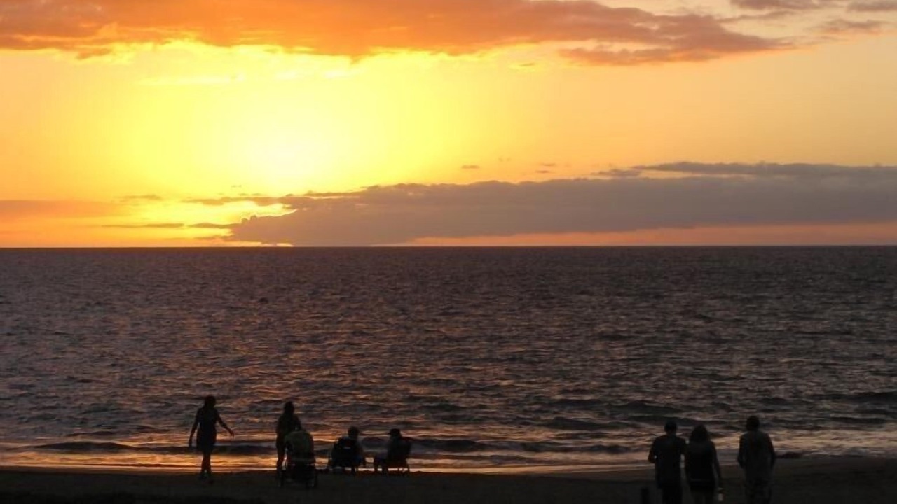 Photo of Others in Kihei