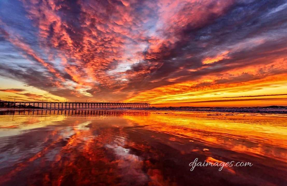 Photo of Others in Surf City