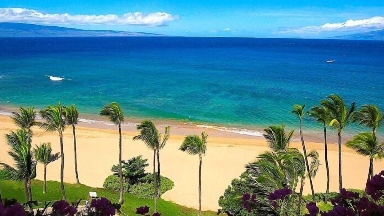 Photo of Others in Kaanapali