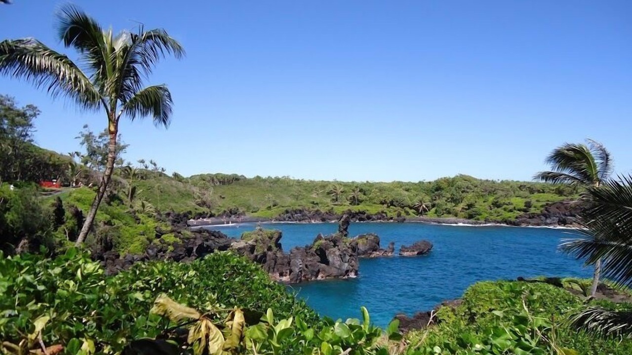 Photo of Others in Kaanapali