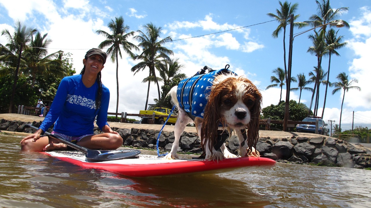Photo of Others in Kihei