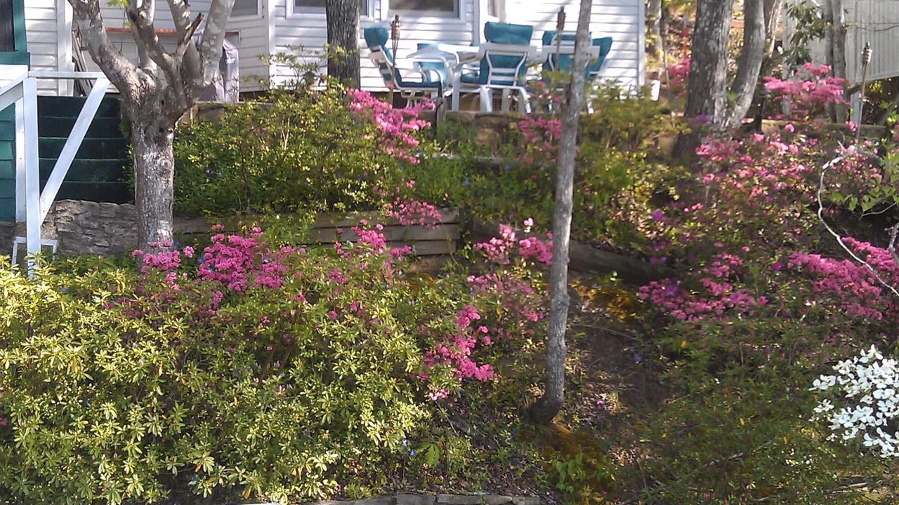 Photo of Outdoor in Lake Lure