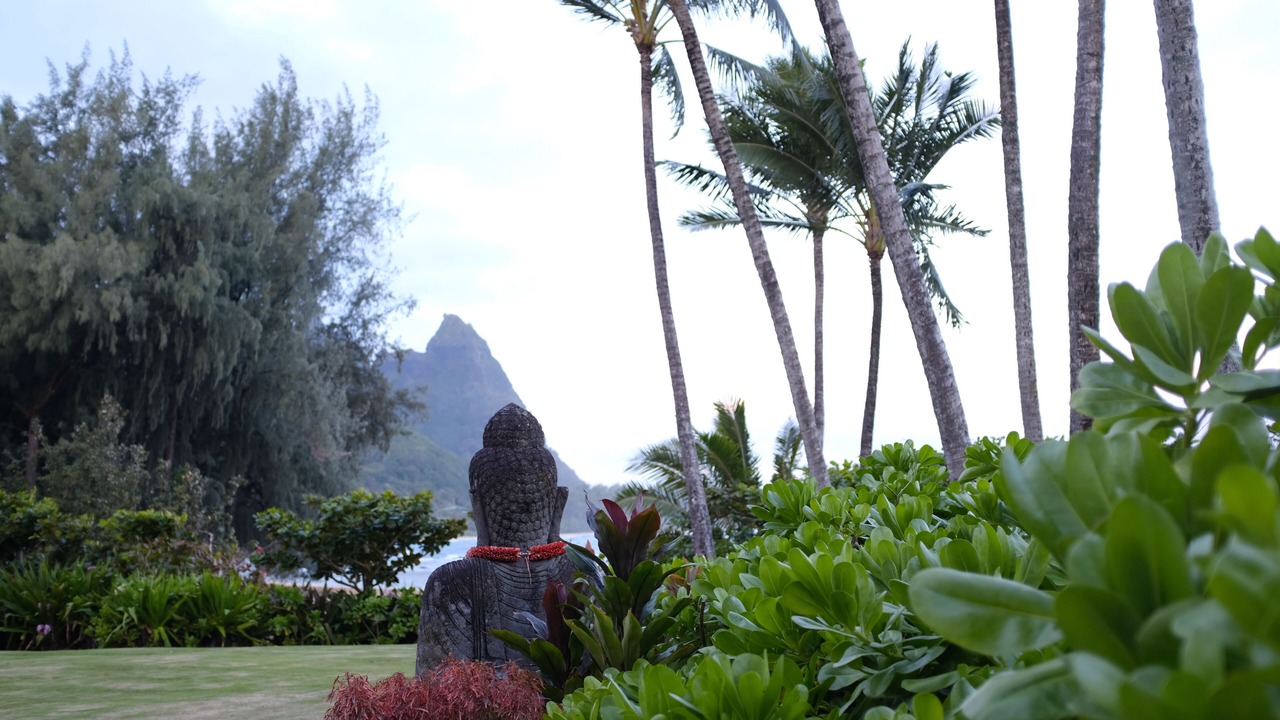 Photo of Outdoor in Hanalei
