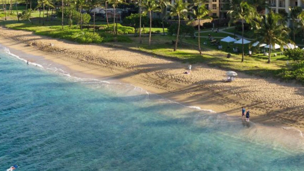 Photo of Others in Kaanapali
