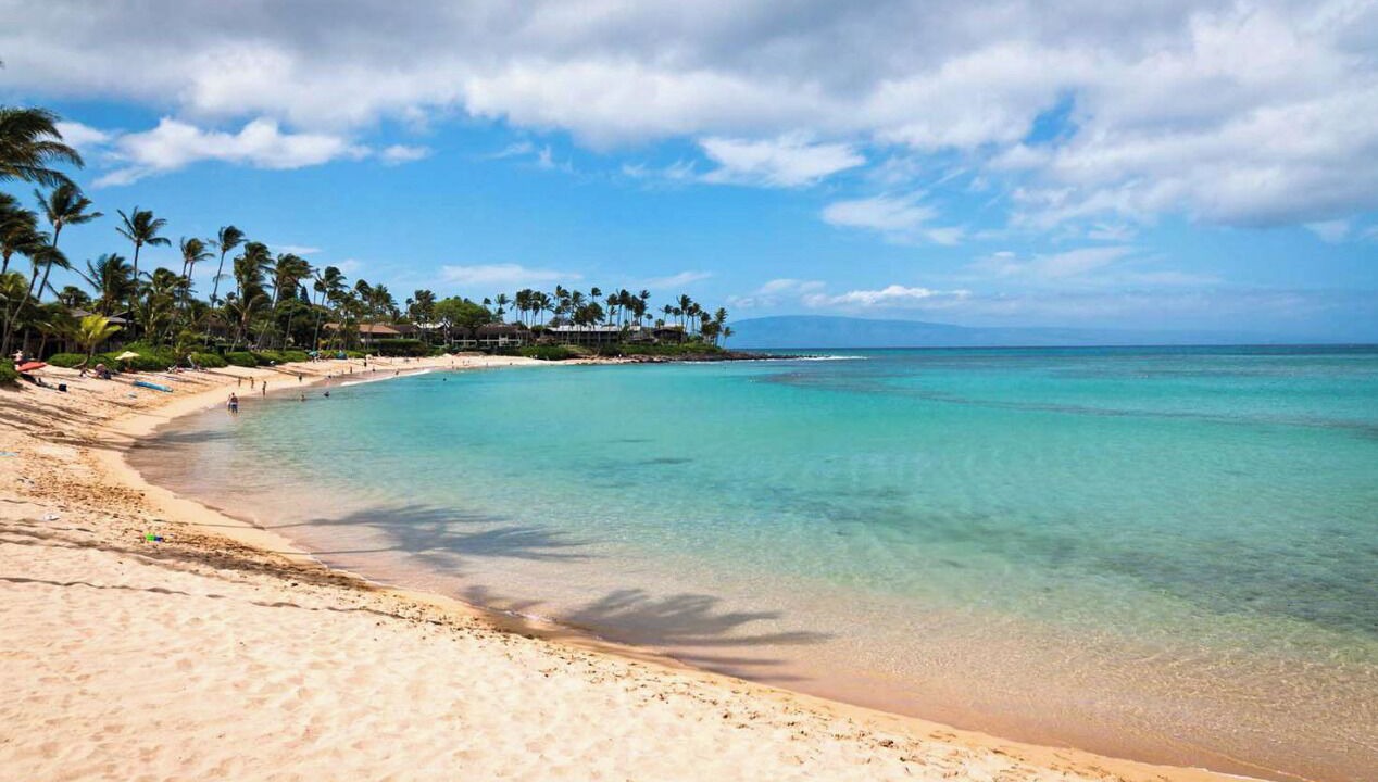 Photo of Others in Kaanapali