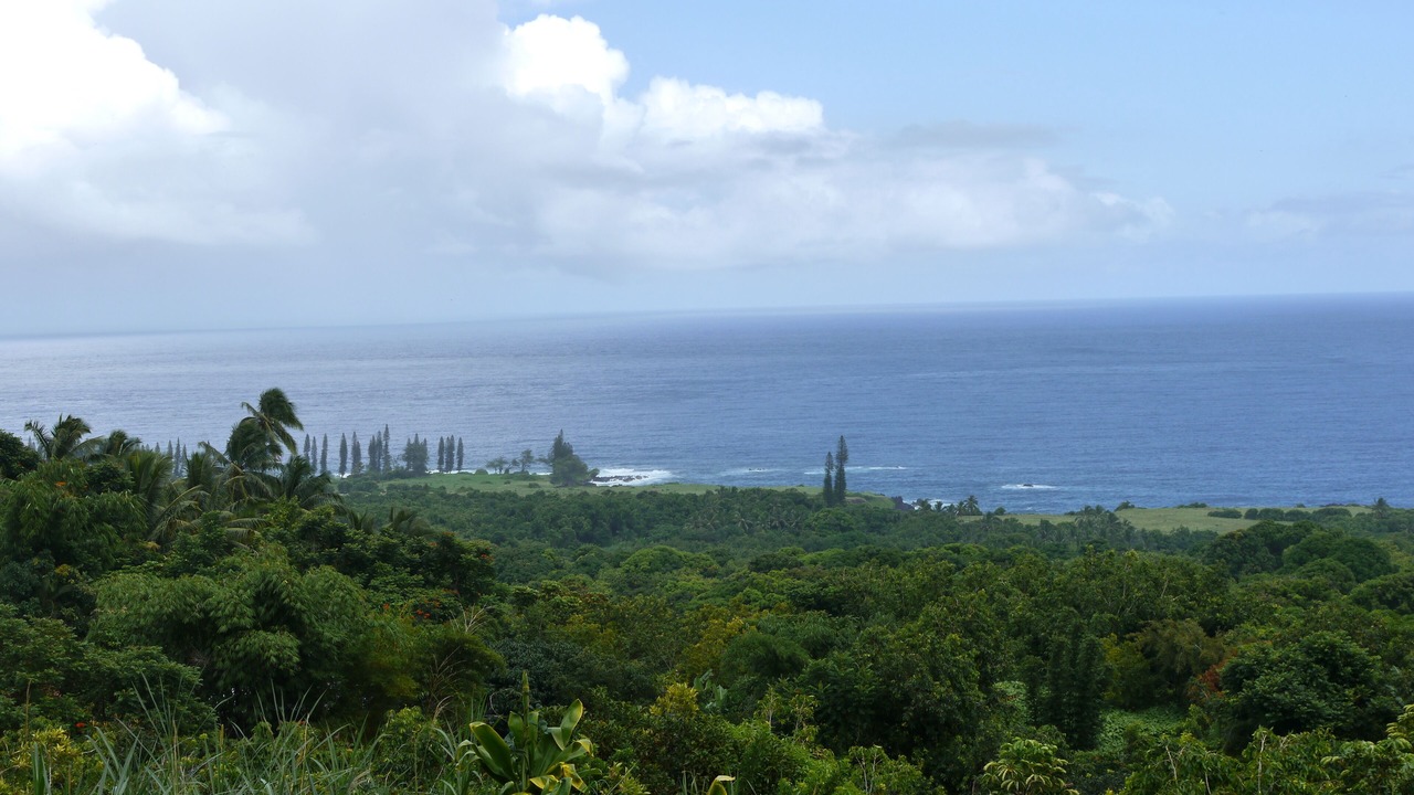 Photo of Others in Hana