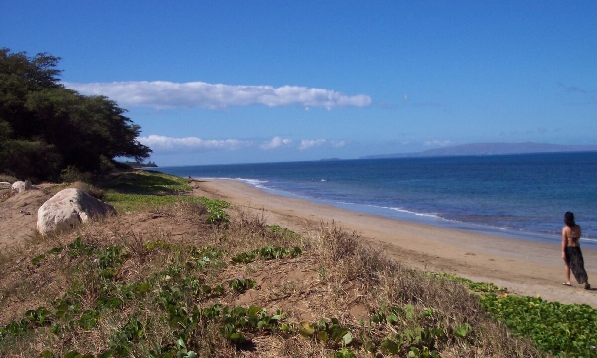 Photo of Others in Kihei