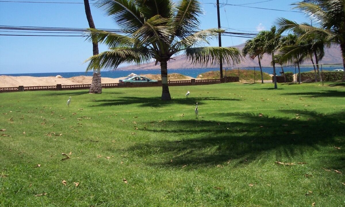 Photo of Others in Kihei