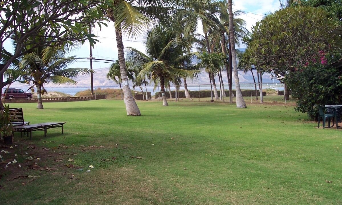 Photo of Others in Kihei
