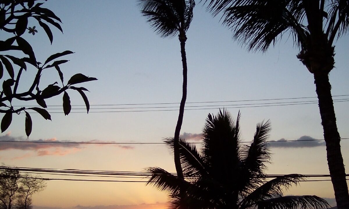 Photo of Others in Kihei