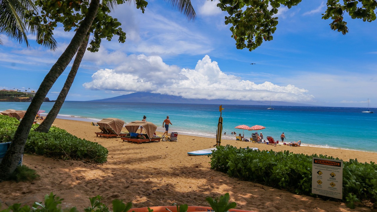 Photo of Others in Kaanapali