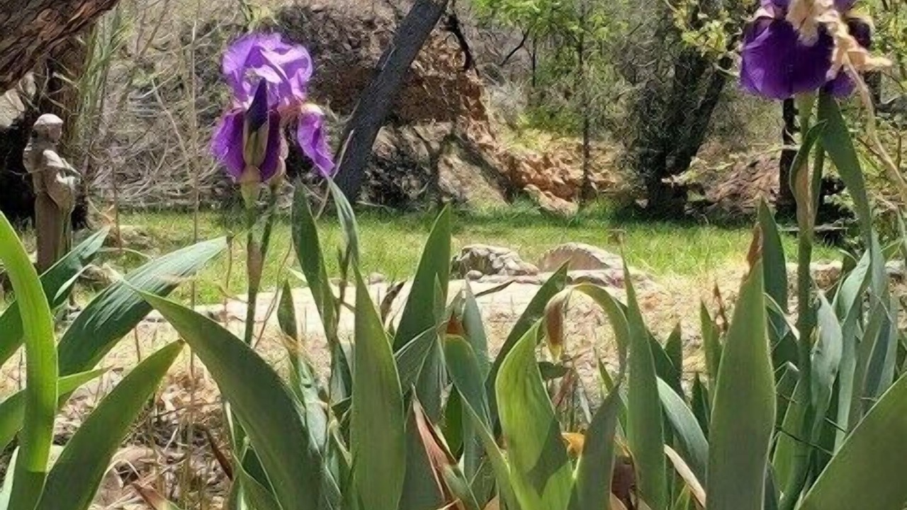 Photo of Outdoor in Cornville